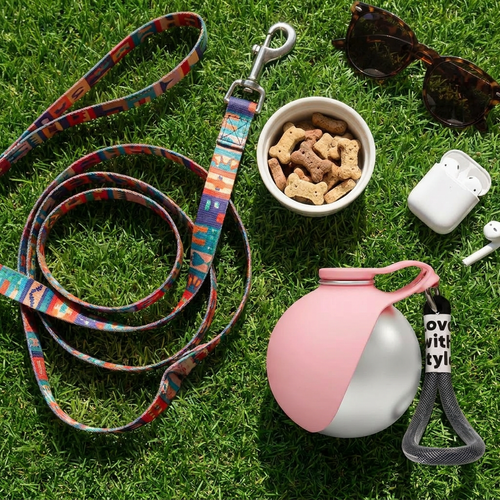 Pack Duo Goudog — Turquoise + Rose